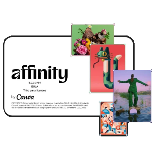 Porque elegir los programas Affinity y el instituto de diseño gráfico affinity